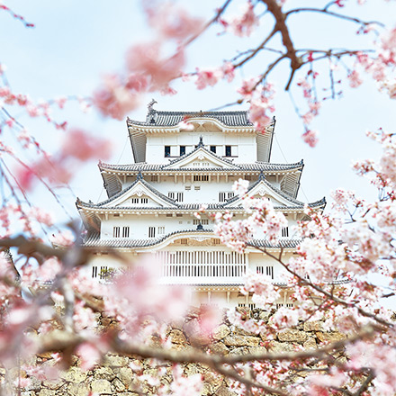イメージ画像